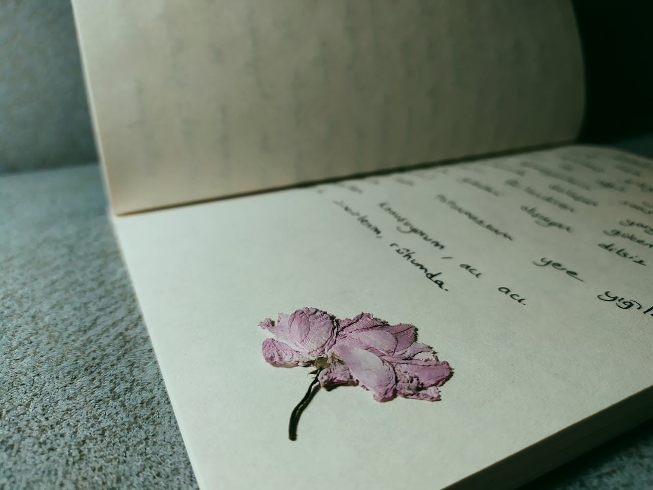 Open journal with handwritten text and a dried flower, evoking nostalgia.